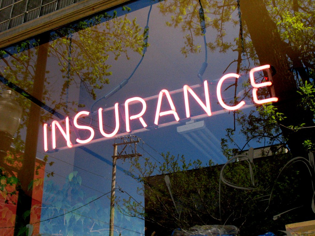 What is the Primary Goal of Long Term Insurance